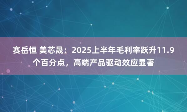 赛岳恒 美芯晟：2025上半年毛利率跃升11.9个百分点，高端产品驱动效应显著